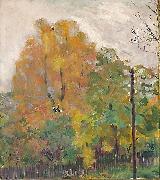 Deciduous trees in fall suit with cuts Bernhard Folkestad